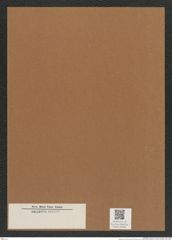Diatomeae indet. Zeichnungen Sammlung Grunow Mappe 04065 (Herbarium_W_Grunow_drawings_Folder_04065)